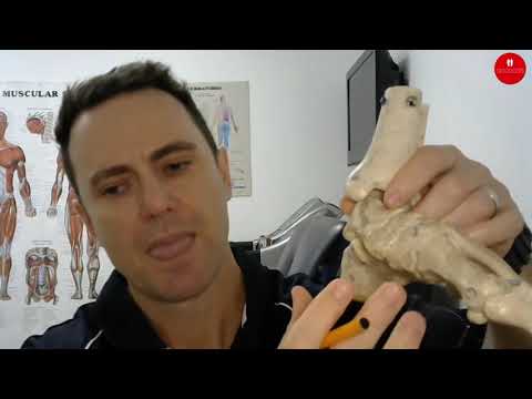 Are Orthotics Good for Plantar Fasciitis?