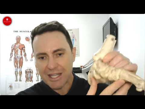 🏃‍♂️ Say goodbye to foot pain with the right orthotics! Discover how they can transform your step