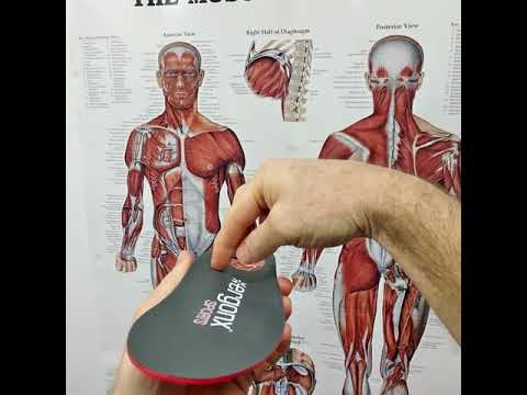 Sports Orthotic Insoles: Support and Fit Guide