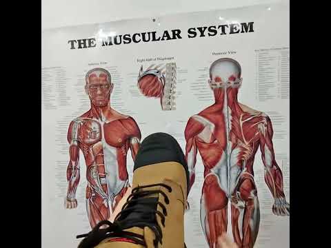 Work Boots for Wide Feet: Finding the Right 2E Fit