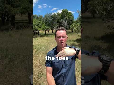 So what makes our work boots different to all the other work boots on the market? It comes down to