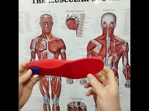 Orthotic Insoles for Children: A Parent’s Guide