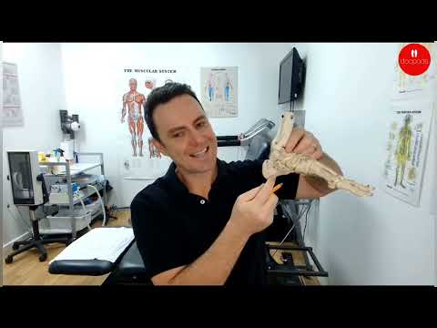 Bruised Heels, Heel Pain and Orthotic Support