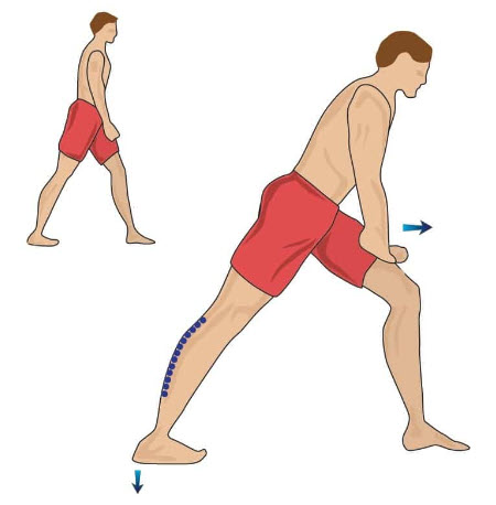 Stretching the calf muscle helps to in crease flexibility in the muscle tendon structure which leads to alleviating pain in the feet.